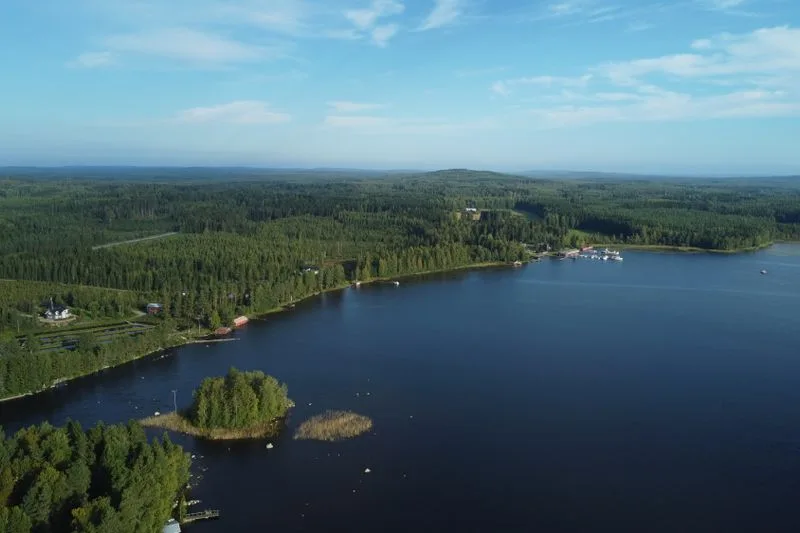 A forested island and open water in the Finnish lakeland