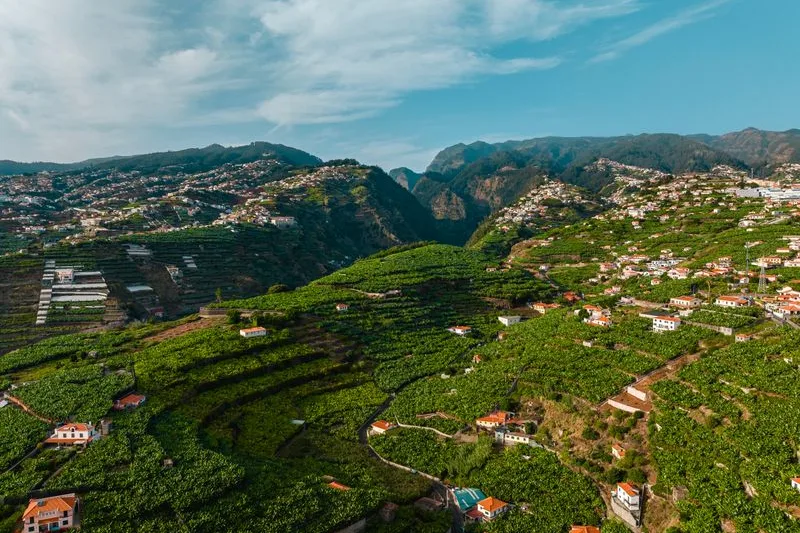 Steep terraced hillsides and scattered farmsteads in Portugal
