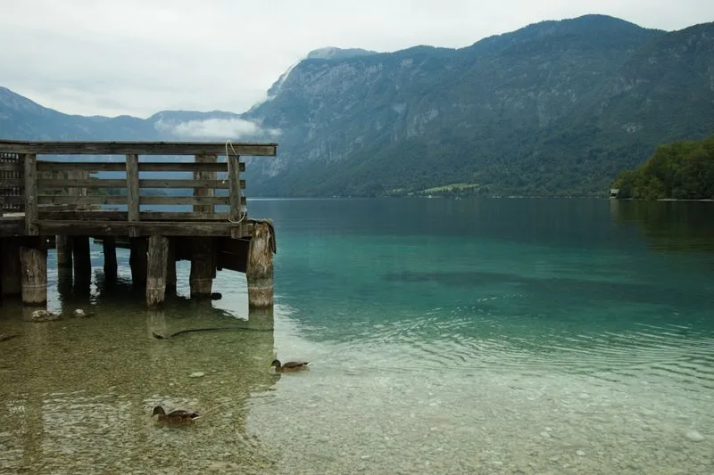 Lake Bohinj beneath the Julian Alps