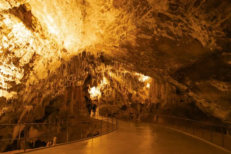 Illuminated formations inside Postojna Cave