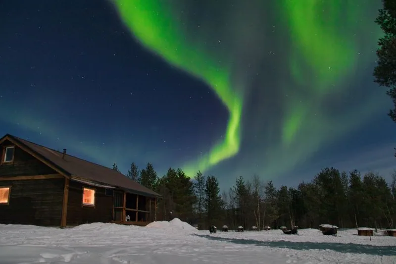 The northern lights above snow-covered Swedish Lapland